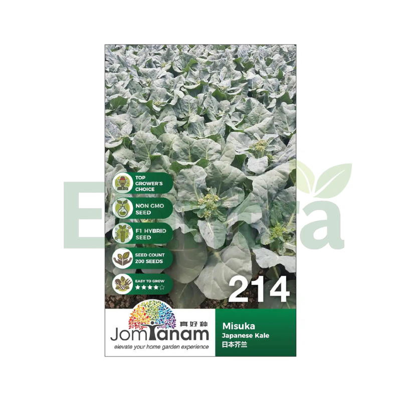 214 JAPANESE KALE